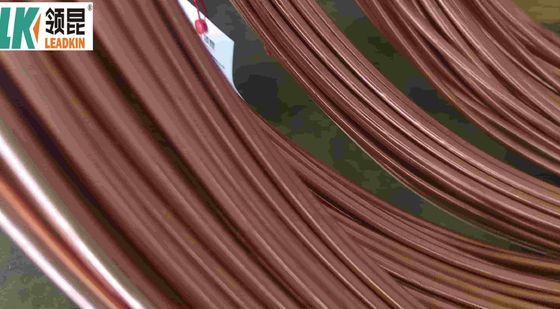 Cable en cuivre isolé minéral pour thermocouple de type RBS